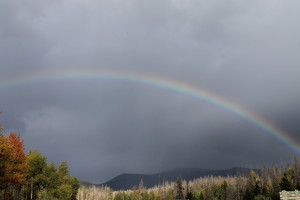 Trip to Yellowstone 2014 127